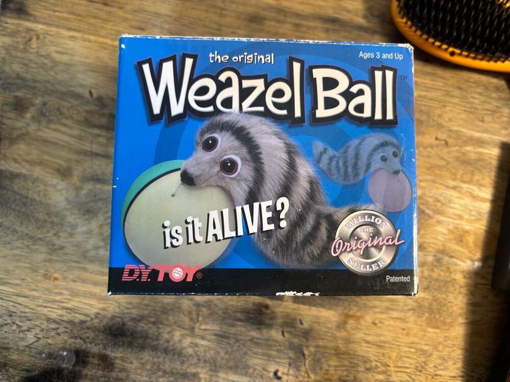 The Original Weazel Ball Motorized Toy by D.Y. Toy